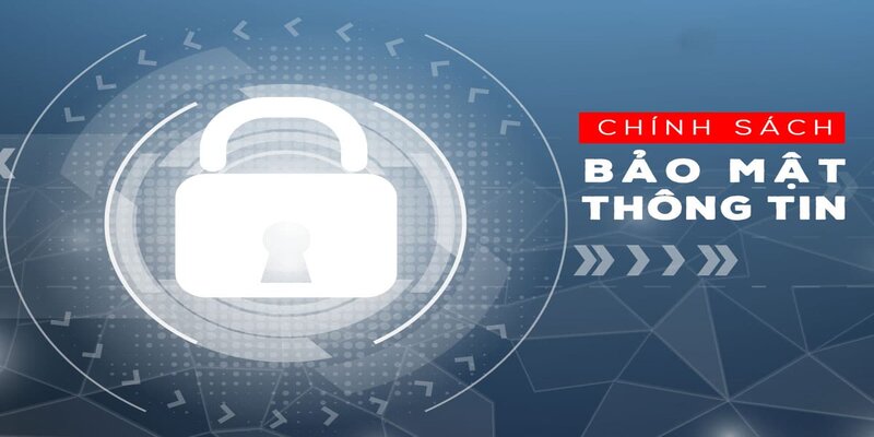 Mọi thông tin được Gamebai thu thập đều đến từ sự cung cấp chủ động của người dùng
