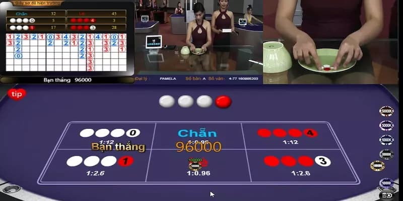 Tổng hợp các cửa cược trong xóc đĩa tài xỉu